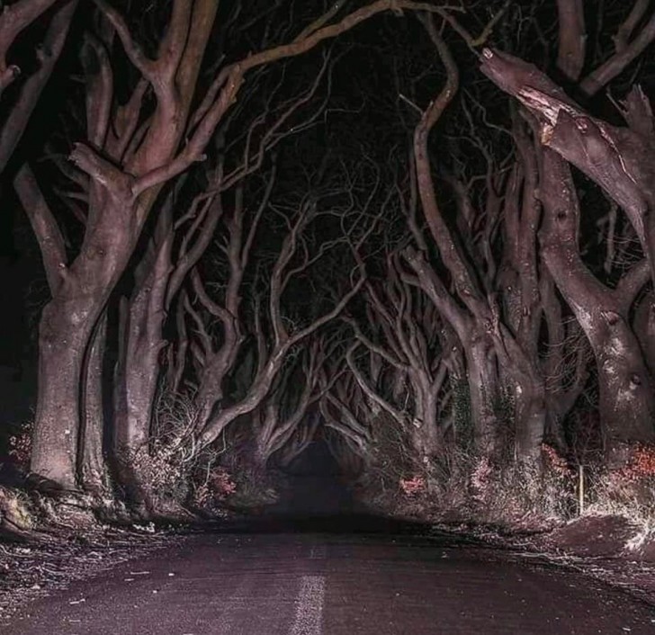 7. Une nuit sombre et effrayante sur une route de campagne en Irlande du Nord...