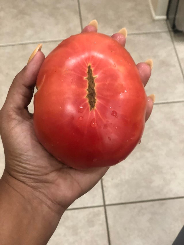 Cette tomate extraordinaire ressemble à l'œil de Sauron, du "Seigneur des Anneaux" !