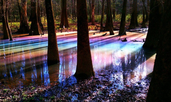16. Mitten im Wald fand ich diesen See, der wunderbare Regenbogenreflexionen erzeugt!