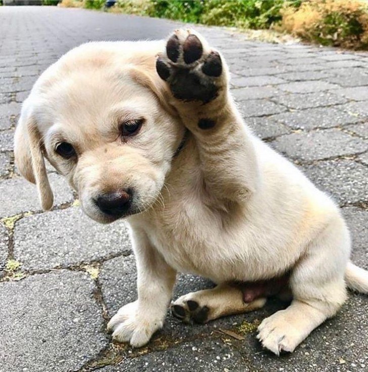 Hallo ihr!