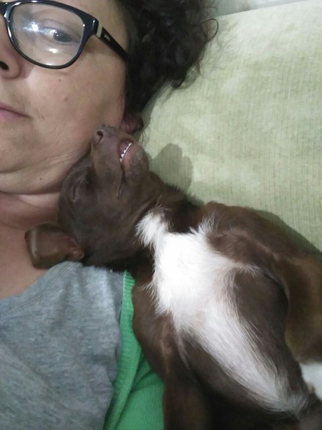 5. Er schläft immer so auf der Schulter meiner Mutter ein...
