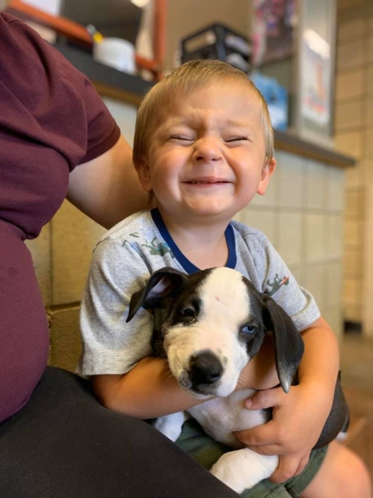 TierWelt Ein Kind mit Hasenscharte adoptiert einen Welpen mit