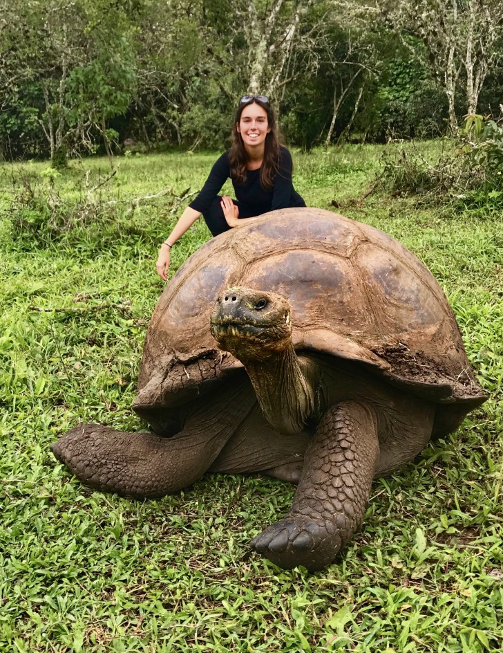 3. En enorm sköldpadda från Galápagosöarna