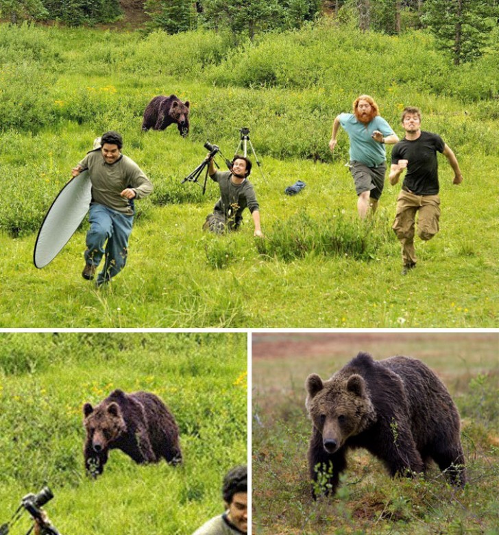 4. Il team di fotografi di National Geographic che vengono rincorsi da un orso: in realtà l'orso è preso da un'immagine di stock ed è abbastanza riconoscibile