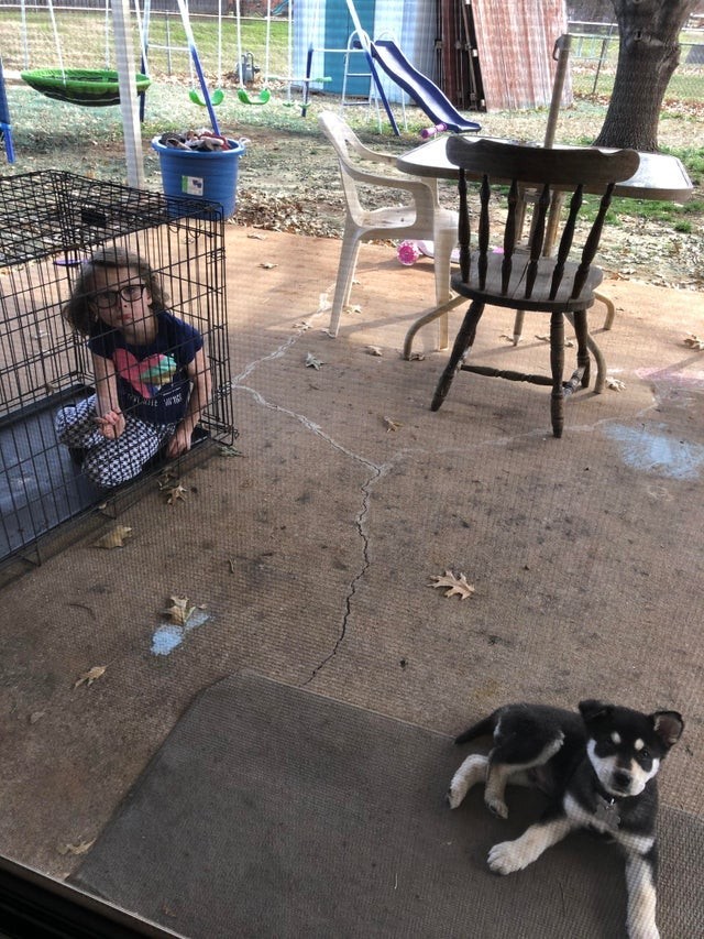 The dog is outside the cage, the little girl ... inside!
