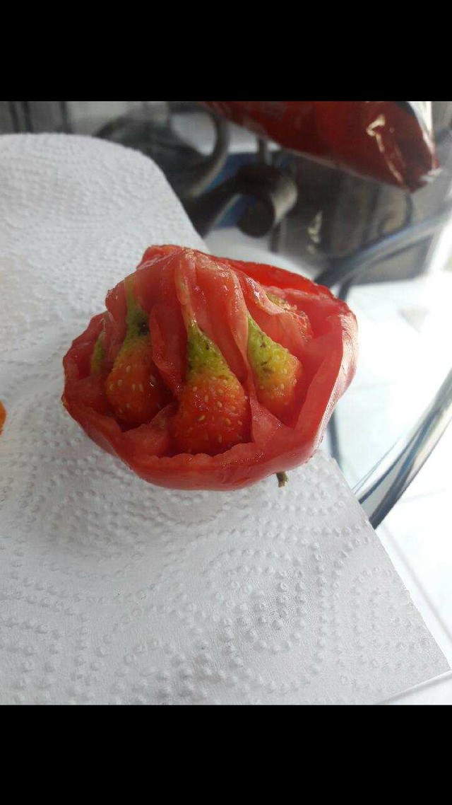 Je gelooft het niet, maar het is een tomaat waarin aardbeien lijken te zijn gegroeid!