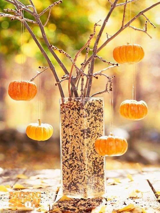 7. Un vase rempli de graines dans lesquelles placer des branches. C'est ici que vous suspendrez vos citrouilles miniatures !