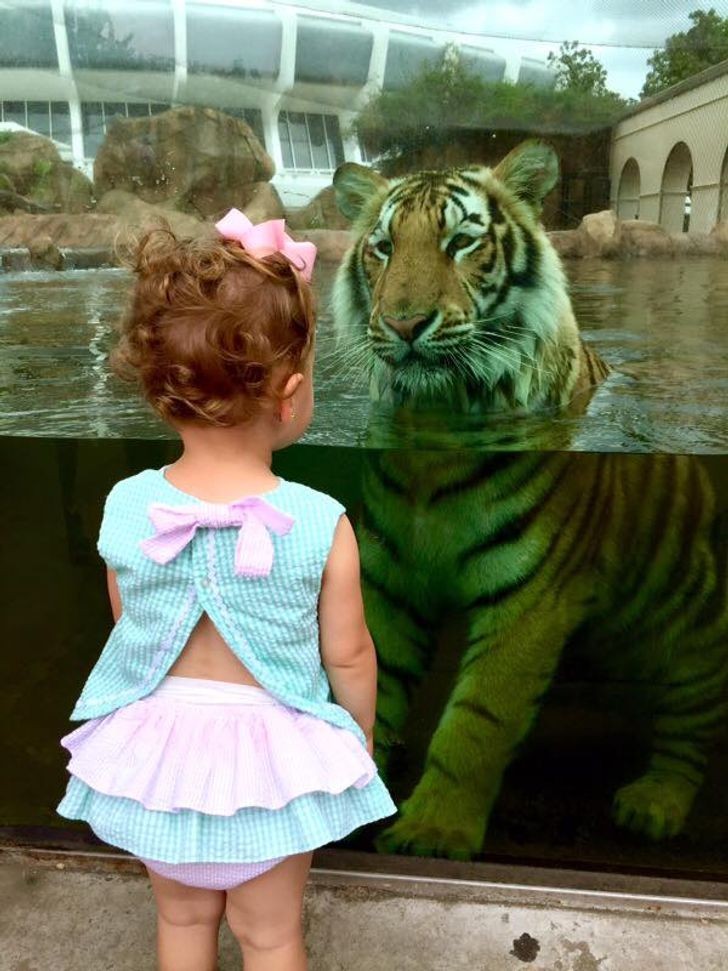 Quale genitore metterebbe mai faccia a faccia la propria figlioletta con una tigre dello zoo?