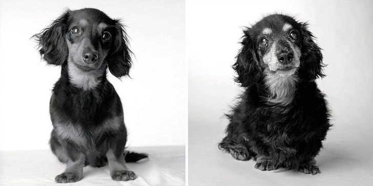 1. Lily a 8 mesi e a 15 anni