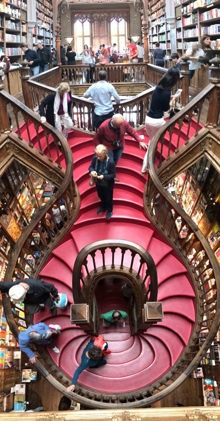Un escalier vraiment unique dans cette bibliothèque à Porto, Portugal