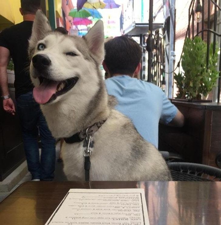 3. "Allora, io prenderò un hotdog e un gelato, però che resti tra noi ok?!"