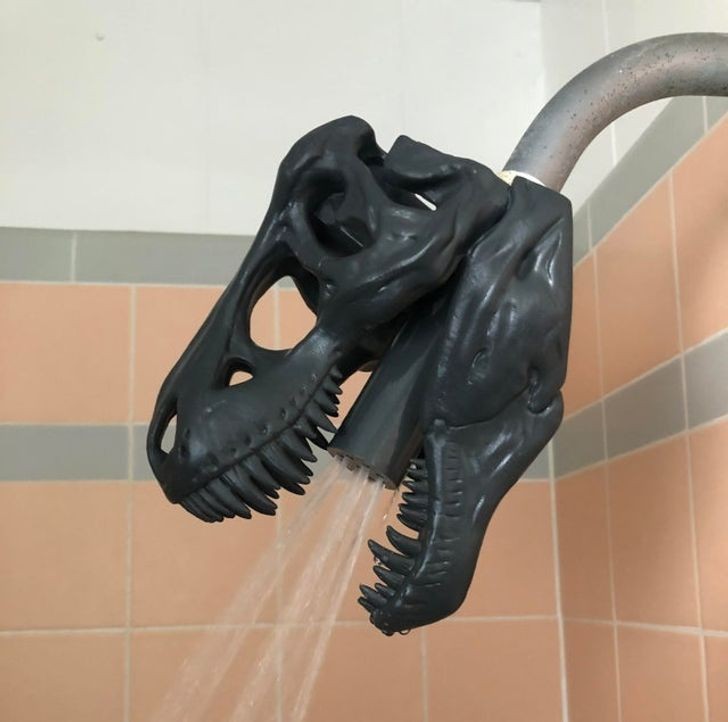 Pour tous ceux qui, même sous la douche, ne pensent qu'aux dinosaures !