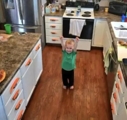16. He is delighted because he has finally arranged the carrots ... by balancing them on the kitchen cabinets!
