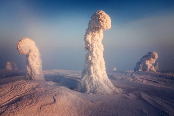 Einige Bäume in Finnland sind während des strengen Winters vollständig mit Schnee bedeckt, die aus einer Science-Fiction-Landschaft zu stammen scheinen...