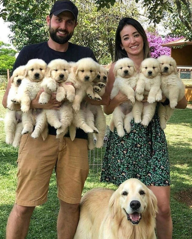 1. Uma verdadeira grande família feliz!