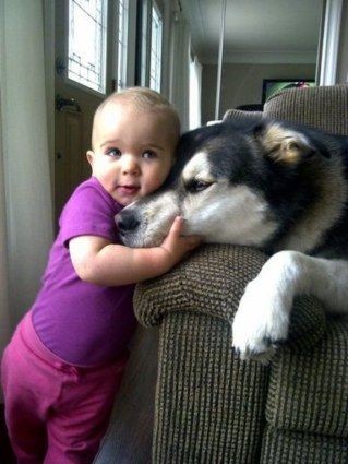 A child and a dog ... what a perfect pair!