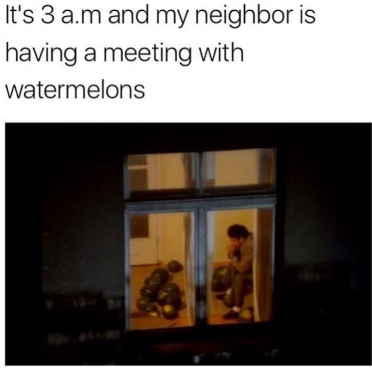 16. Il était 3 heures du matin, j'ai regardé par la fenêtre et j'ai vu mon voisin engagé dans une conversation sérieuse avec... des pastèques !
