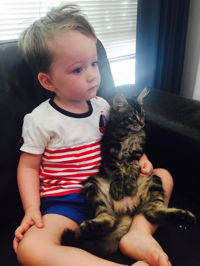 My son and his kitten watching TV together!