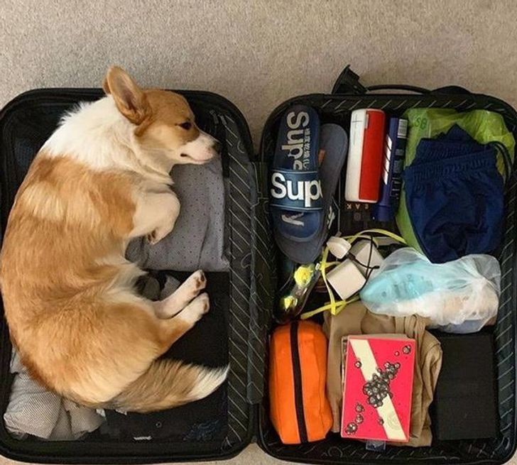 Please take me on your trip with you!
