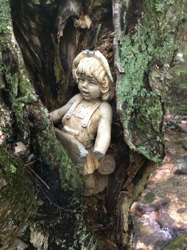 18. J'ai trouvé cette poupée en porcelaine à l'intérieur d'un vieil arbre lors d'une randonnée dans les bois...