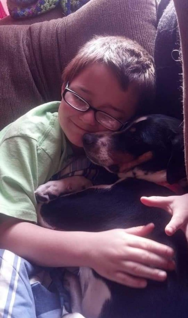 5. L'amitié entre un enfant et son chien est inégalable