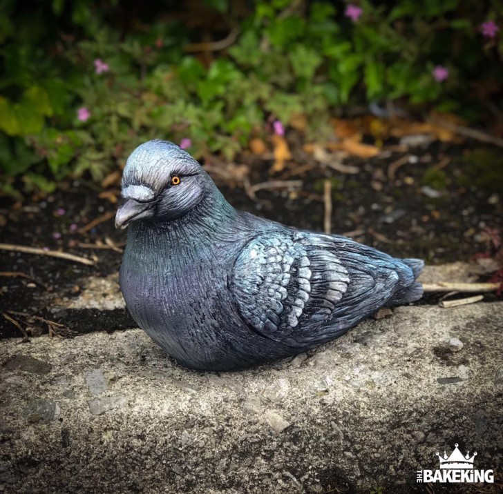 Sous les plumes vraisemblables de ce pigeon au repos...
