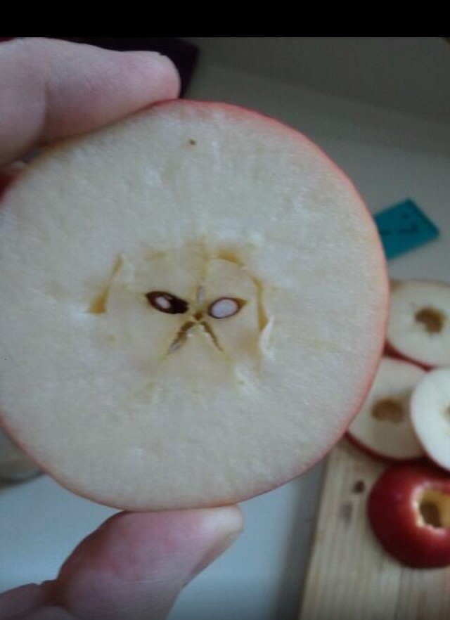 When you split an apple in half and realize you have done something very wrong.