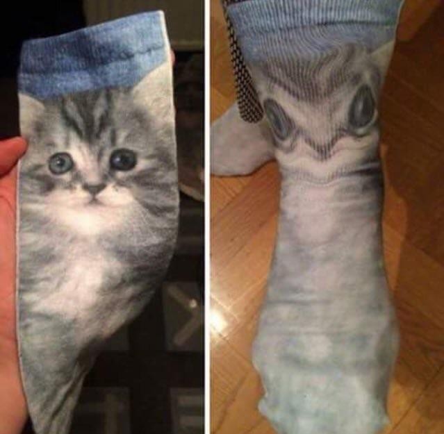 Als je besluit sokken met een kattenprint te kopen, maar wanneer je ze draagt, ze niet eens de moeite waard zijn om te laten zien.
