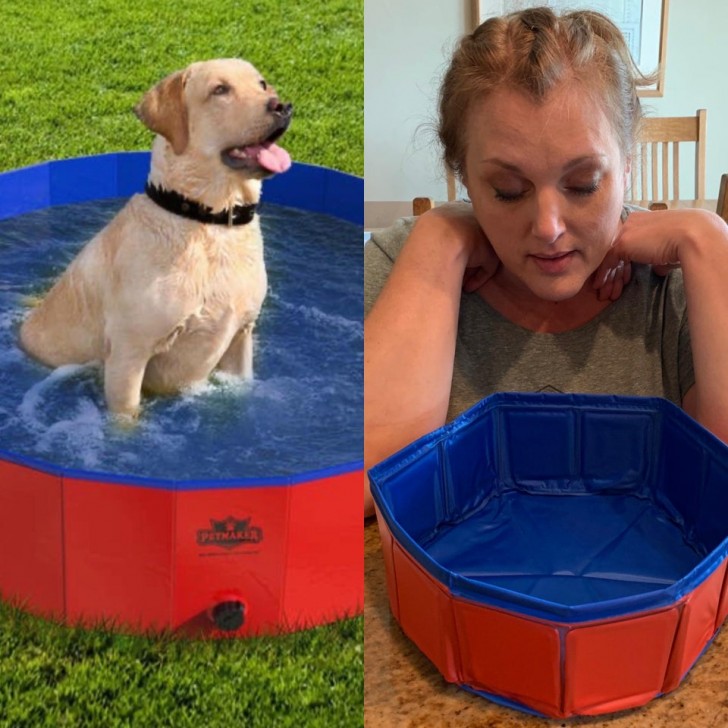 Una piscina per cani taglia XXL: neanche per un chihuahua andrebbe bene!