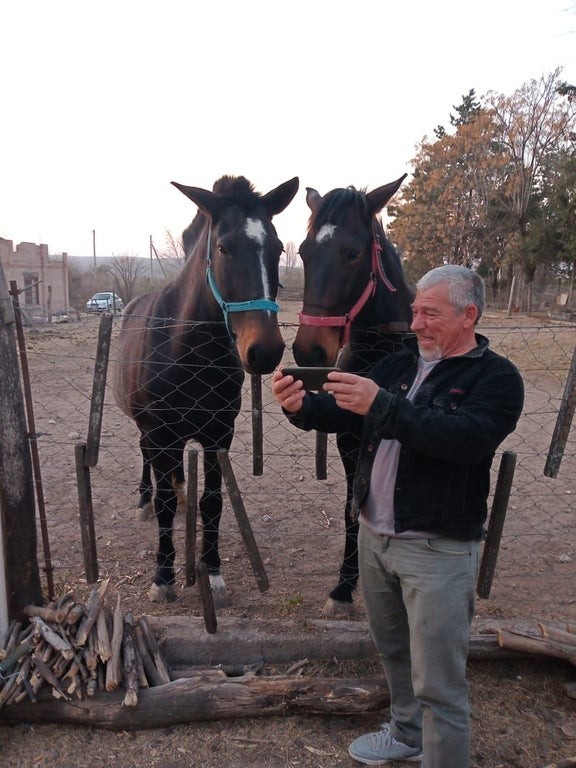 13. Mon père aime tellement ses chevaux qu'il leur montre des vidéos depuis son téléphone portable !