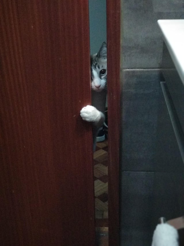 2. "Posso entrare anche io?"