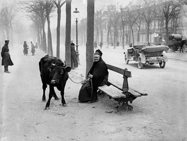 2. Eine ältere Frau, die mit ihrer Kuh aus dem Kriegsgebiet geflohen ist, sitzt auf einer Bank in Amiens, Frankreich (28. März 1918).