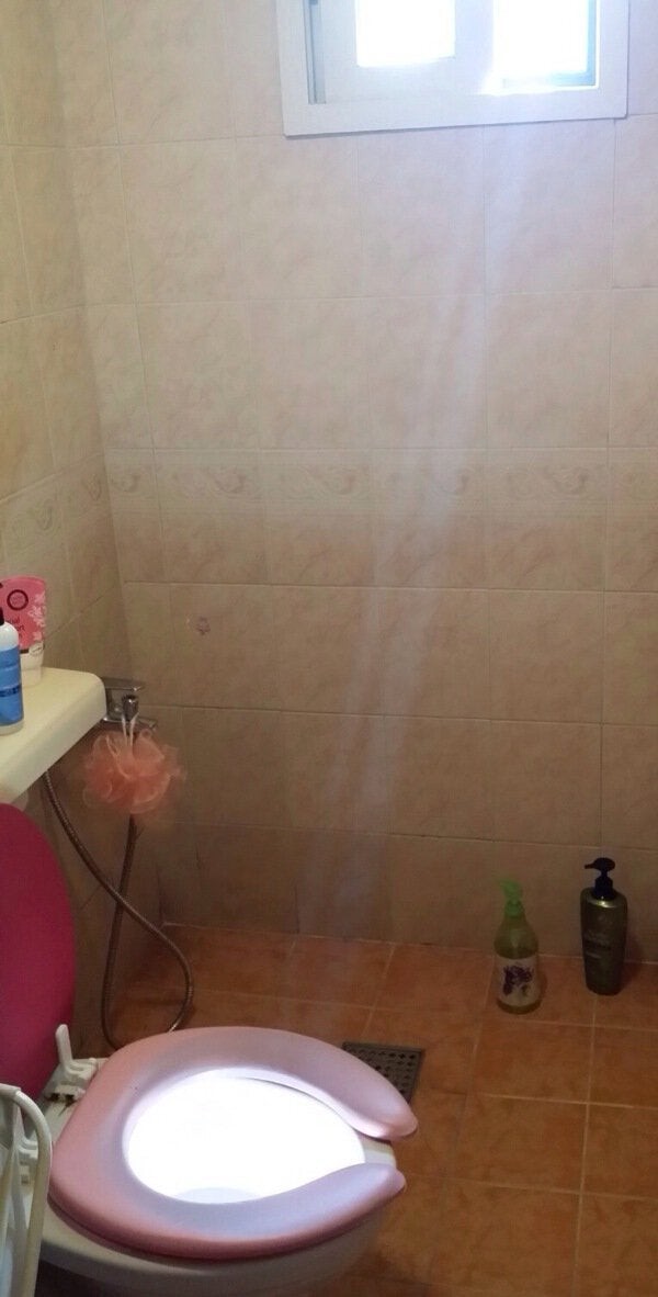 The ray of light seems to illuminate this toilet with a sacred aura!