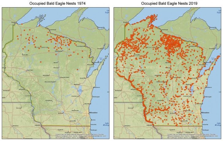 11. Une carte significative pour l'environnement : les nids d'aigle occupés en 1974 et 2019 dans le Wisconsin