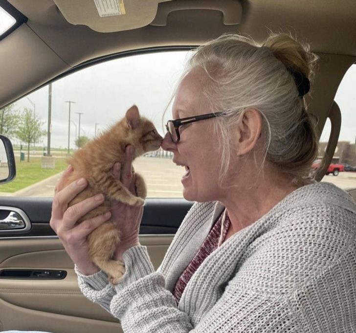 De eerste blik tussen het nieuwe baasje en een kitten!