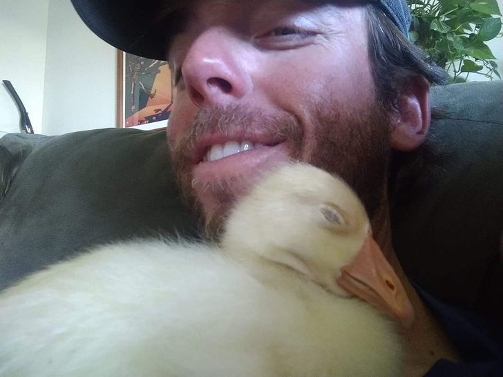 Not just cats and dogs: even a cuddly duck can brighten your day!
