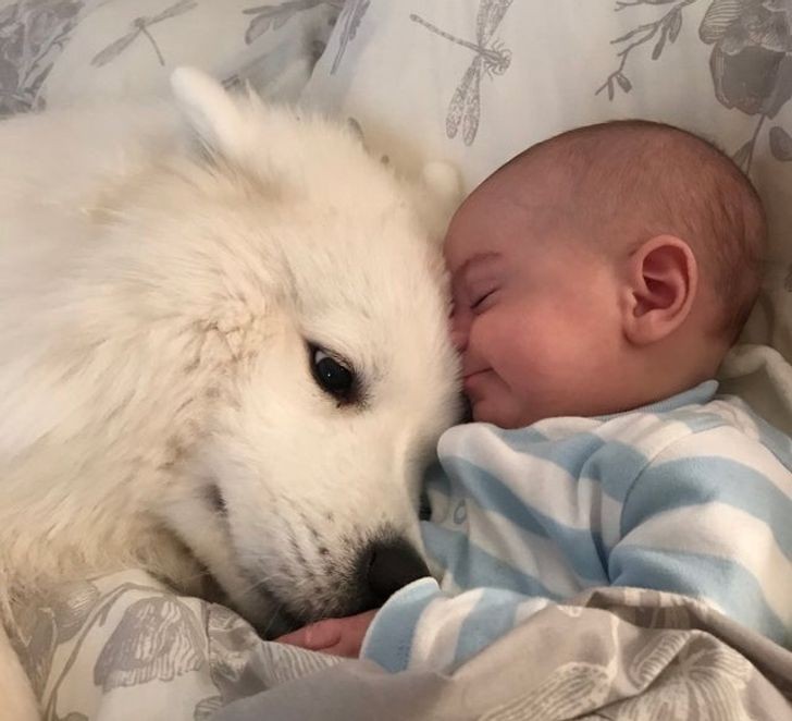 ¡Esta sí que parece una historia de amistad que durará para siempre!