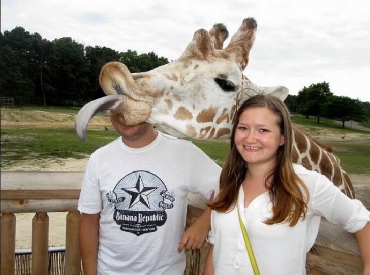 3. Une photo avec la girafe s'est transformée en une photo hilarante de la girafe !