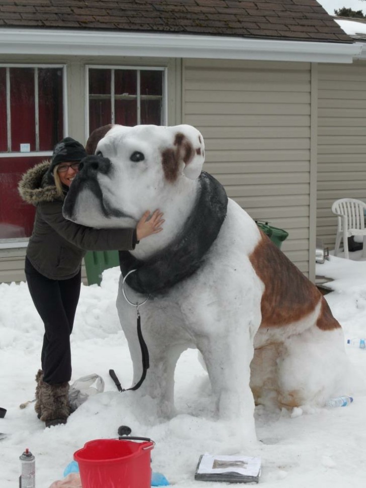 1. Un bulldog gigante di neve aspetta tutti i visitatori all'ingresso del vialetto di casa...