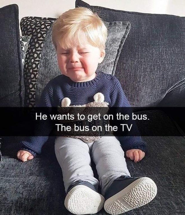 3. "Voleva prendere l'autobus. L'autobus che ha visto in TV"