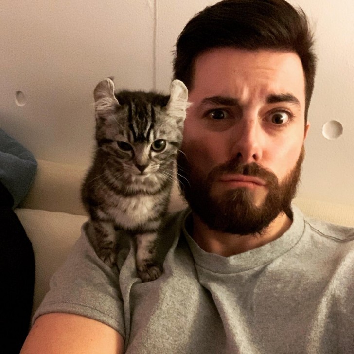 Tra gatto e padrone...sono due maestri del selfie!