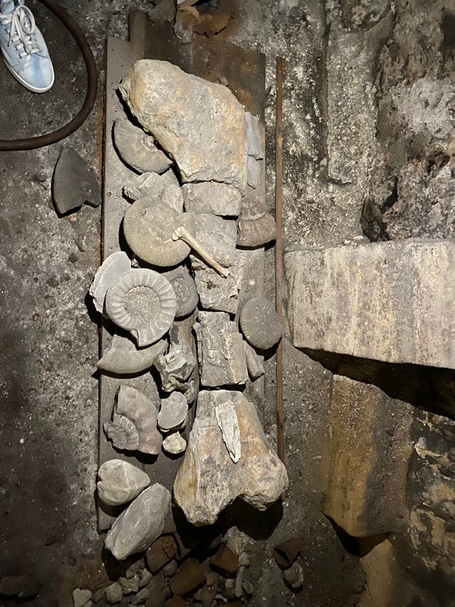 4. Un mio amico ha trovato delle ossa di dinosauro nello scantinato della sua casa del XV secolo!
