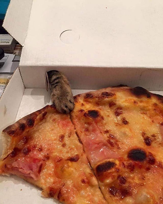 5. "Qualcuno sta cercando di fregarsi la mia pizza..."