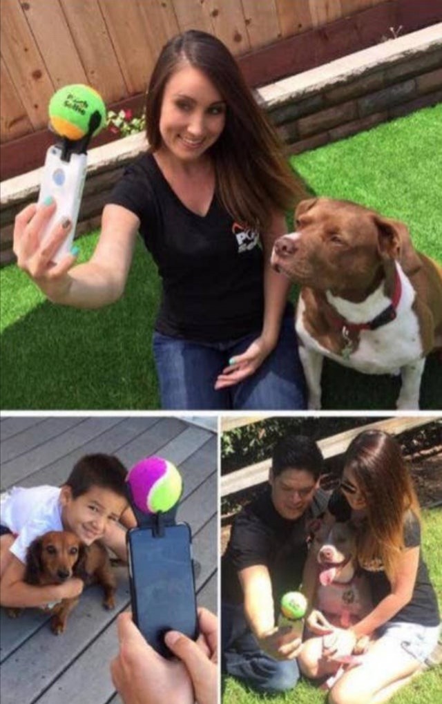 3. Ainsi faisant, un selfie avec le chien ne posera plus de problème : la balle change tout !