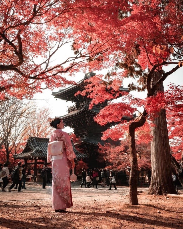 L'autunno è una delle stagioni migliori per apprezzare la bellezza del Giappone (Kyoto).