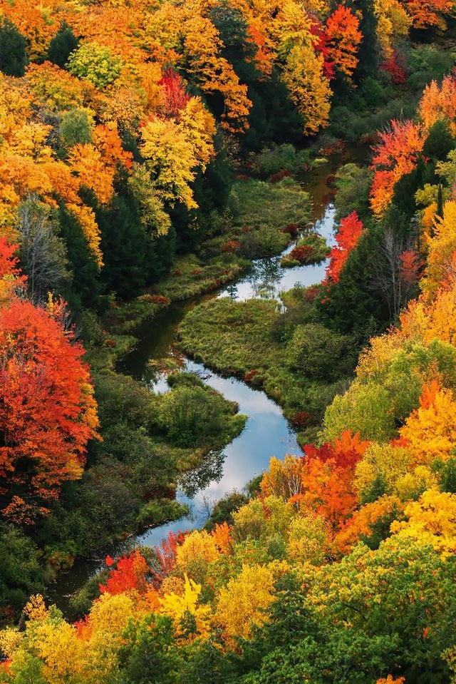 Toutes les couleurs de l'automne, comme dans la palette d'un peintre !