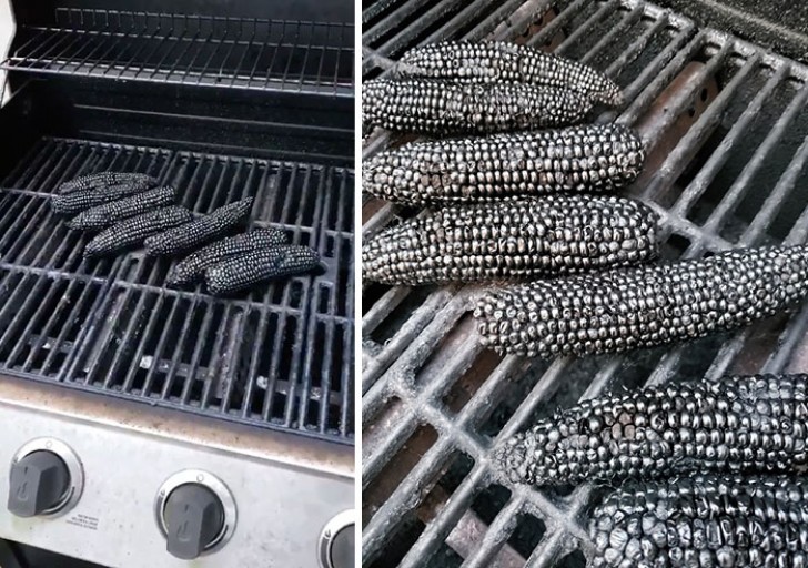 Would you like some charcoaled corn on the cob?
