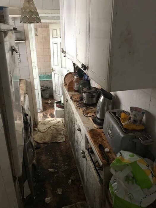 This is the condition the house had fallen into, after 12 years without cleaning ...