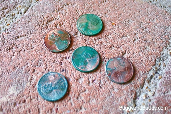 7. Le monete di rame diventano verdi
