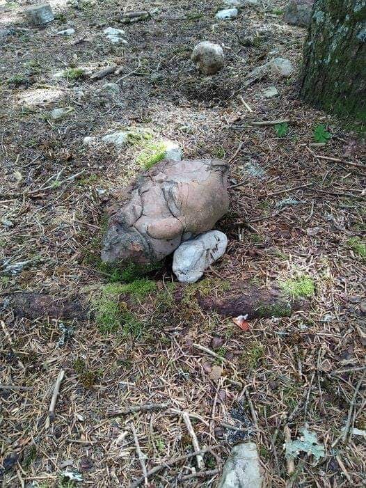3. Questa pietra trovata nel bosco sembra davvero un volto umano che sbuca dalla terra: piuttosto inquietante!